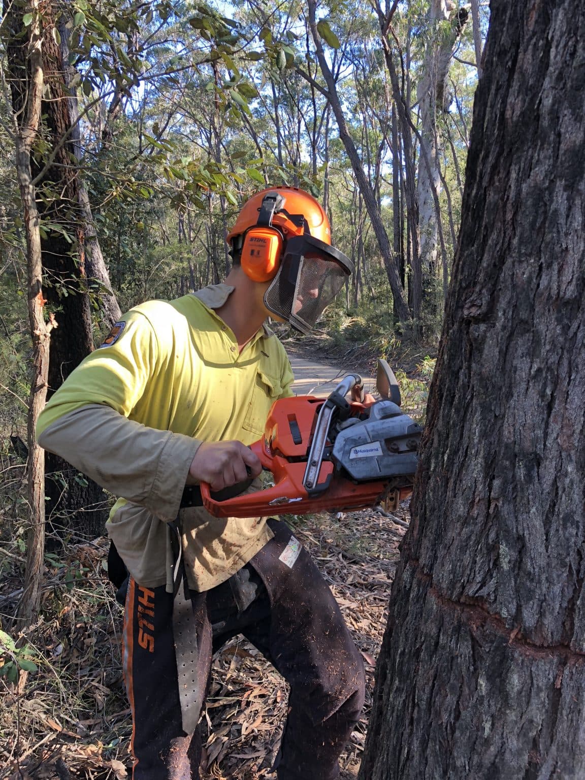 Chainsaw
