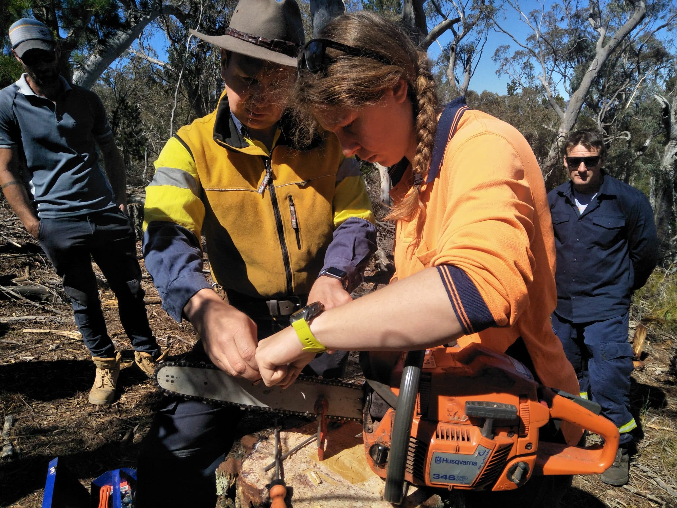 Chainsaw refresher training in action